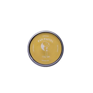 کلارک پن پاستل زرد Y01