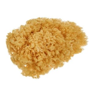 ماکو اسفنج پتینه طبیعی
